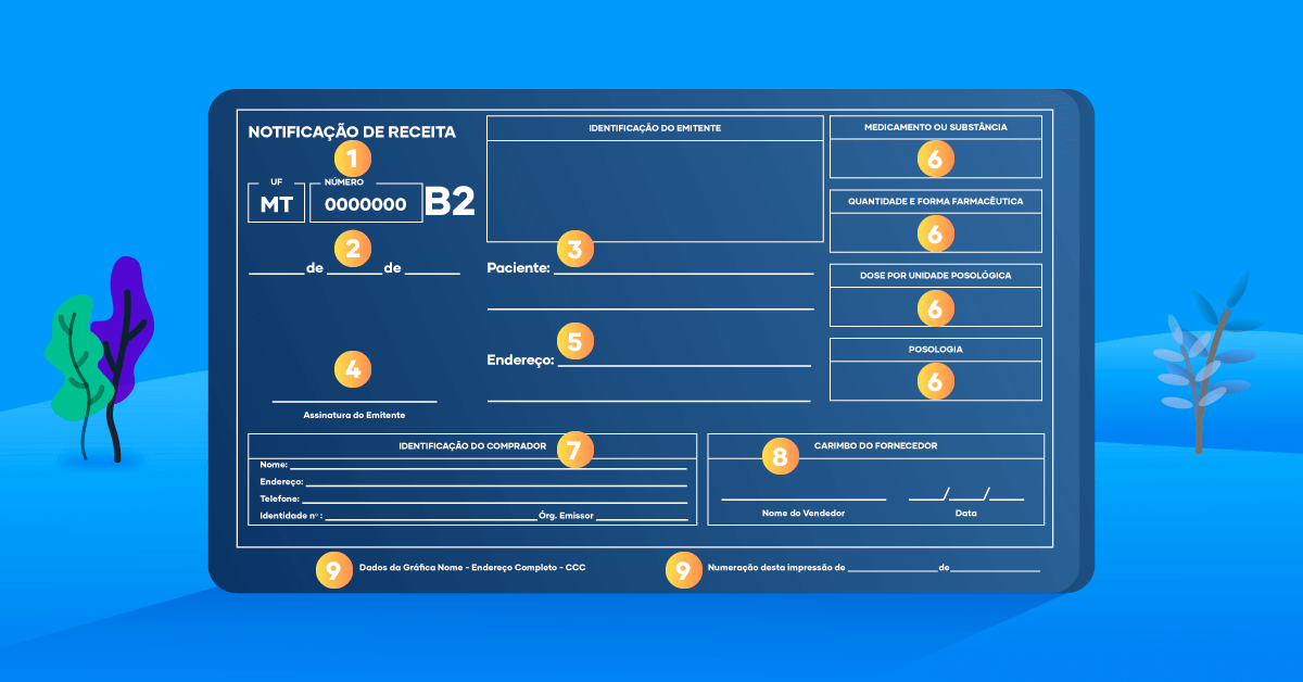 Como Preencher Receita Azul - BRAINCP